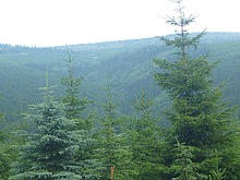 Lanovka - Celnice - pod Voseckou boudou - Krakonoova sndan - Mumlavsk vodopdy