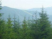 Lanovka - Celnice - pod Voseckou boudou - Krakonoova sndan - Mumlavsk vodopdy