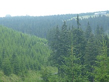 Lanovka - Celnice - pod Voseckou boudou - Krakonoova sndan - Mumlavsk vodopdy
