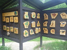 Flora a fauna Krkono