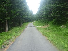 Kldov cesta