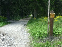 Docela drsn sjezd z Dvoraek