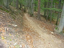 Singltrek